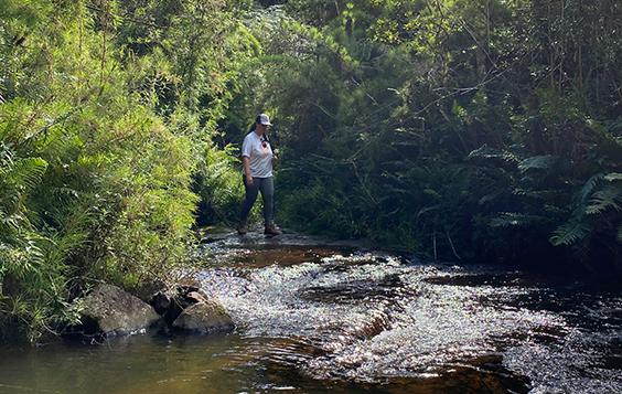 trilha - Rancho Nórdico